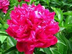 �������������� ����