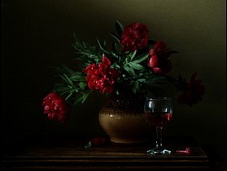 ������� ������ ������