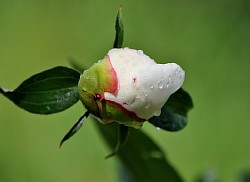 ����� ������ ���������� ����������
