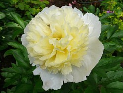 ���� �������