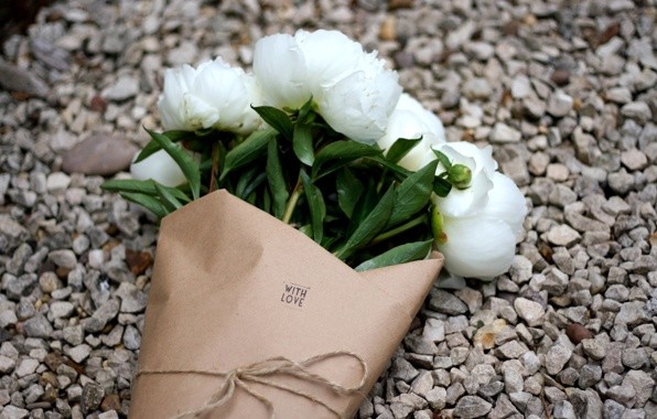 ������� ������ ��������� �������