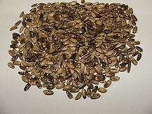 ���������� ������ �����